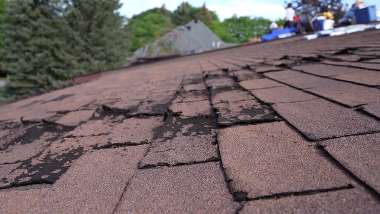 Trusted Fussels Corner, FL Roofing Service Experts